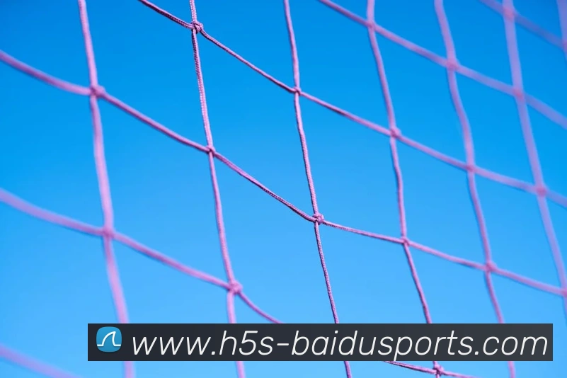 百度体育NBA发展历程